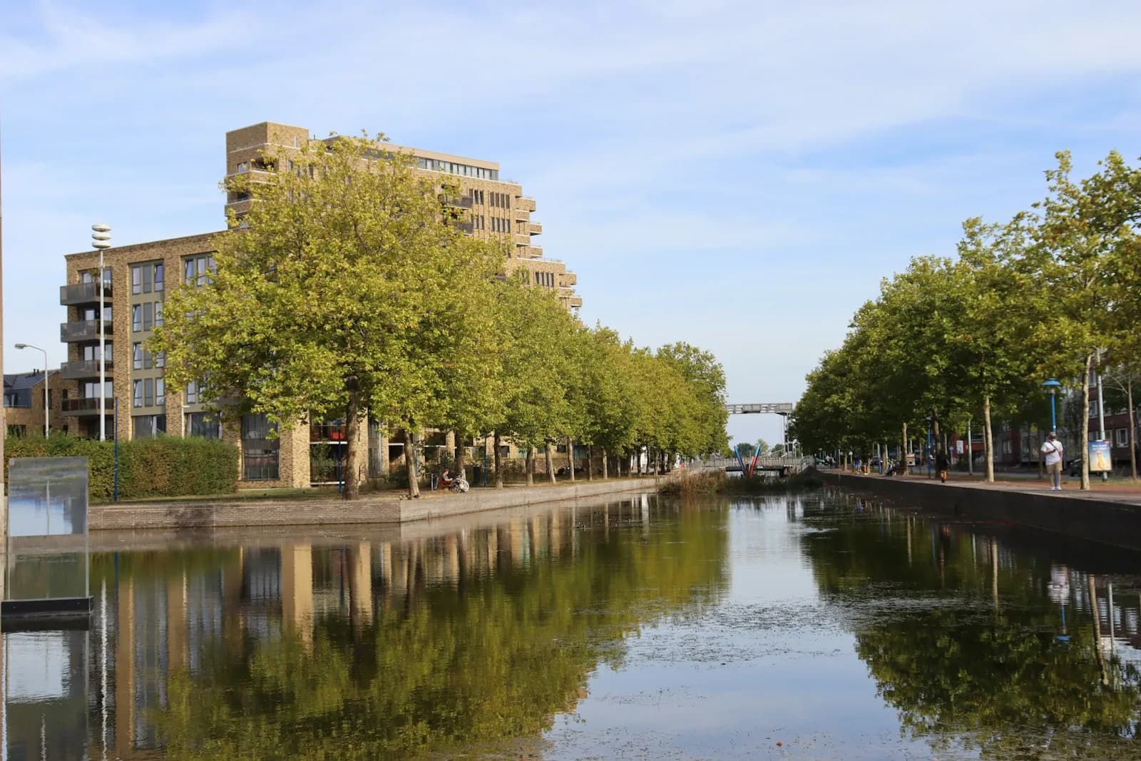 A tree-lined canal and city buildings in Eindhoven