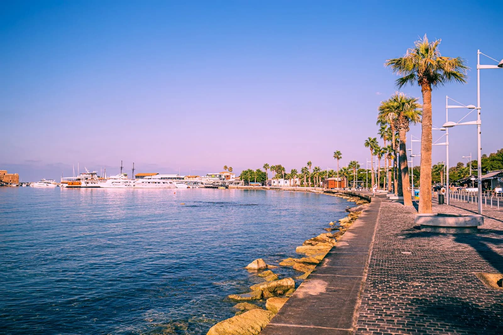 Coastal rocks and Mediterranean water near Paphos
