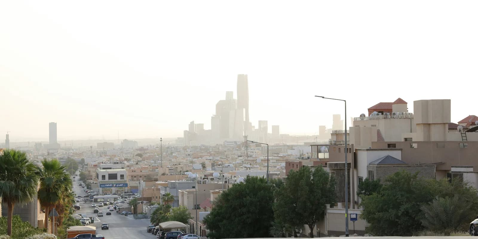 Riyadh skyline rising beyond a palm-lined neighbourhood