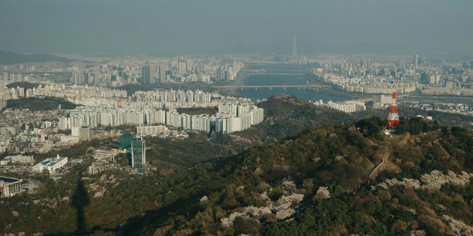 Seoul cityscape with N Seoul Tower