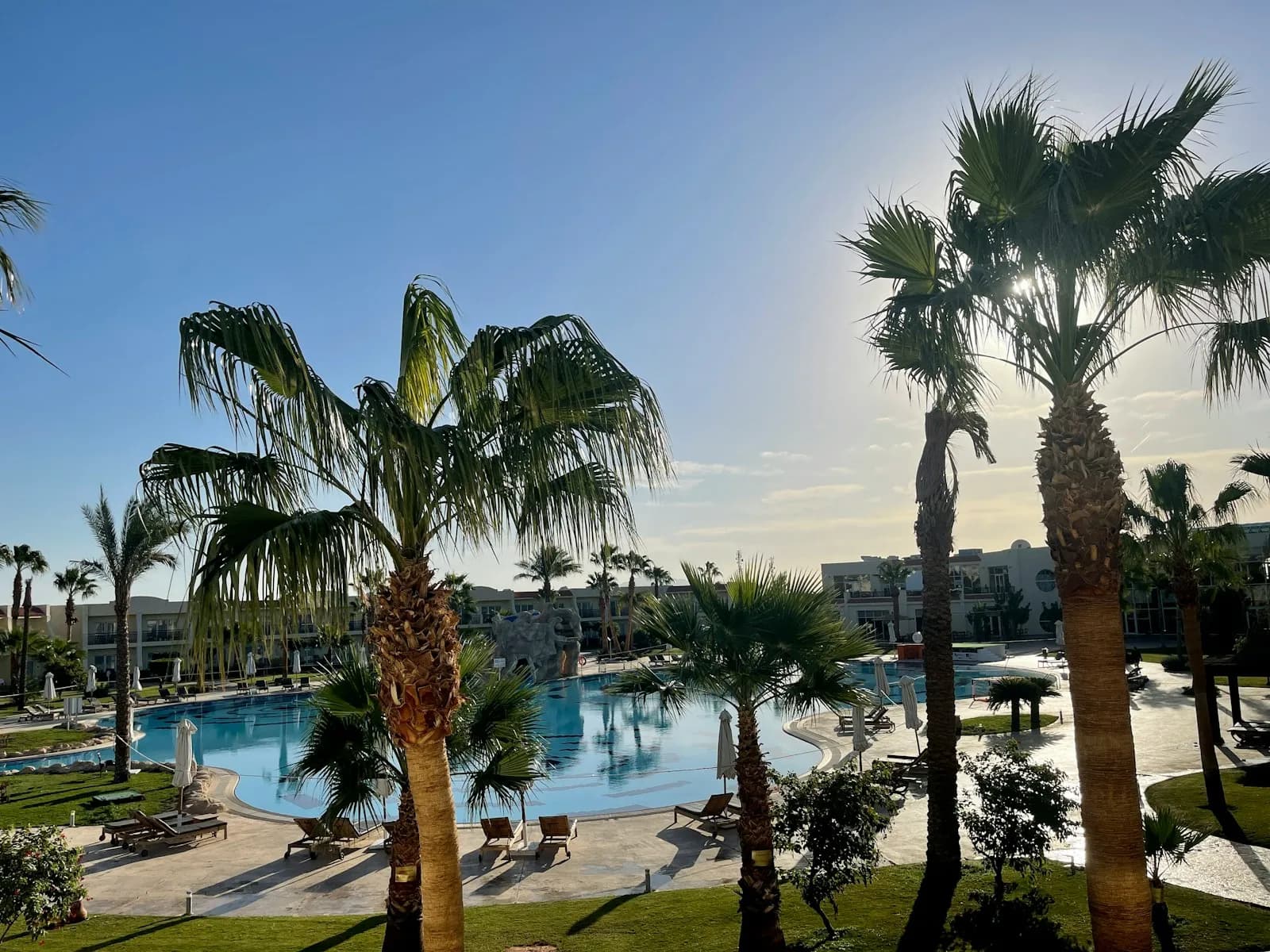 Palm trees around a sunlit resort pool in Sharm el-Sheikh