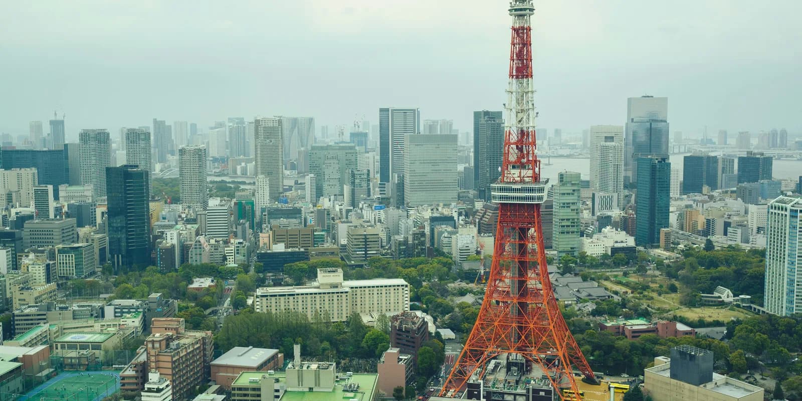 Tokyo Tower above the city's dense skyline